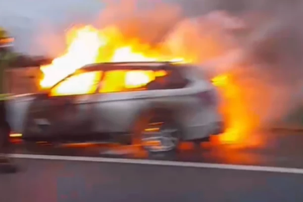 DRAMA NA MOSTU SLOBODE U NOVOM SADU! Automobil se pretvorio u buktinju! (VIDEO)