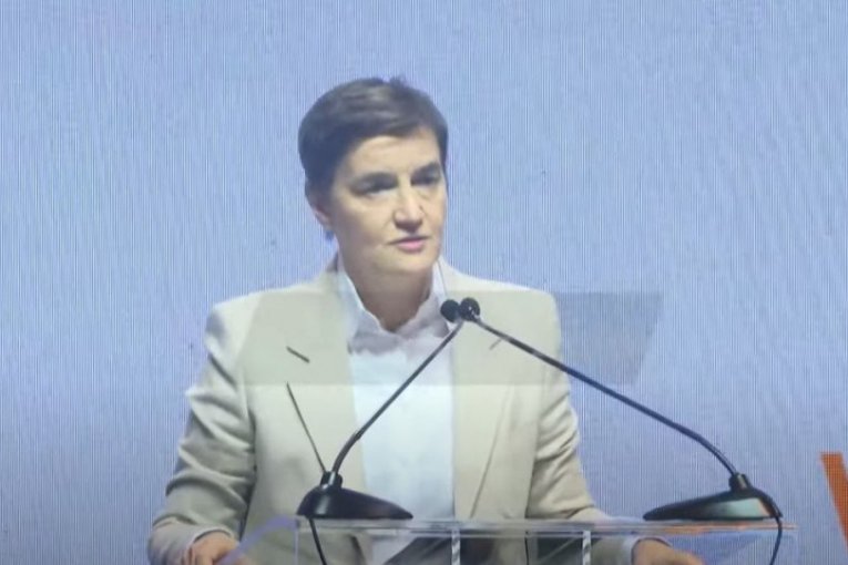 Ovo je "normalno" kada su vođe pokreta "protiv nasilja" Milojević i Aleksić! Brnabić jasna: Napadnute su nečije sestre, supruge i majke!