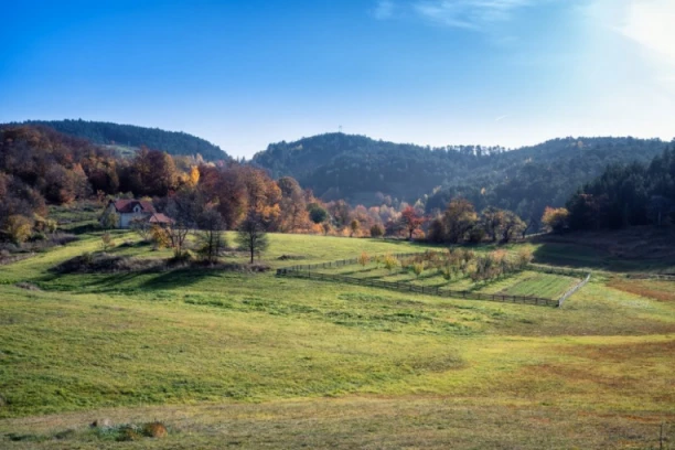 SRPKINJA POBEDILA DRŽAVU HRVATSKU! Ana se izborila za nasleđenih TRI MILIONA KVADRATA, a moraju joj ispaltiti i SUDSKE TROŠKOVE!