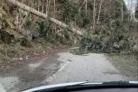 VETAR TOKOM NOĆI NAPRAVIO HAOS NA TERITORIJI ZAPADNE SRBIJE: Čupao drveće iz korena, na pojedinim mestima blokiran saobraćaj