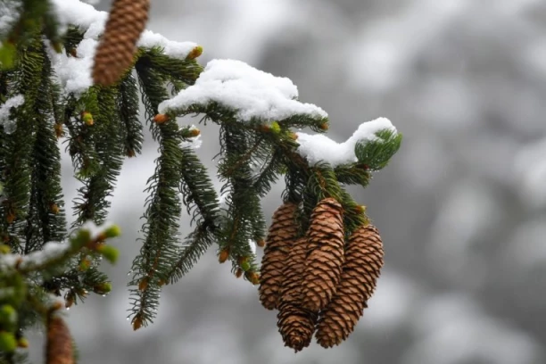 ZABELELO SE U HRVATSKOJ: U Gorskom kotaru trenutno pada sneg, a za vikend  SKOK TEMPERATURE!