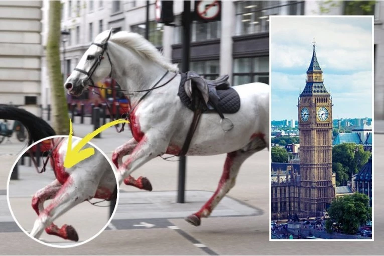 BLIŽI NAM SE SUDNJI DAN?! Krvavi konji u centru Londona i ZAMRZNUTE KAZALJKE NA BIG BENU znak - društvene mreže se usijale! (FOTO)