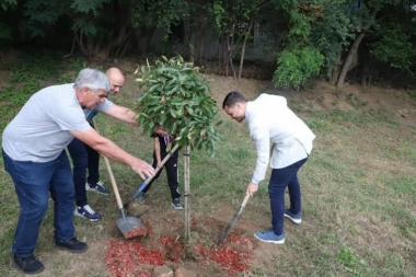 Košarkaški teren za unuke, stoni tenis za bake i deke: Otvoren međugeneracijski park solidarnosti na Banjici