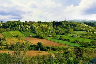 NEVEROVATNO OTKRIĆE NA FRUŠKOJ GORI: Gostima je stroga zabranjeno da ga uzimaju ili diraju, a evo zbog čega