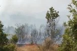 JEDNA OSOBA UHAPŠENA! Vatrogasci i dalje na terenu u Somboru, požar lokalizovan