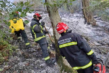 VATROGASCI IZ NIŠA I PIROTA ZASLUŽNI ZA UGAŠEN POŽAR: Istraga će utvrditi da li je vatra podmetnuta!