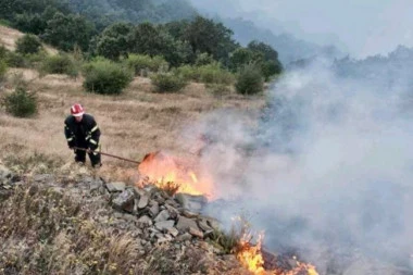 VELIKI POŽAR KOD KRUŠEVCA, ZBOG DIVLJANJA VATRE EVAKUISANI GRAĐANI! Vatrogasci se junački bore sa plamenom!