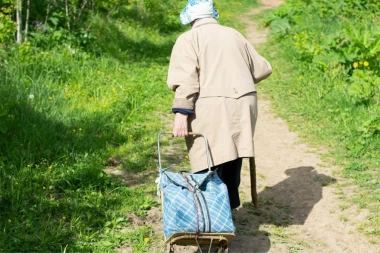 BAKA (88) UPALA U JARUGU DUBOKU ŠEST METARA: Preživela četiri dana zahvaljujući KIŠNICI I JEDNOJ LISICI (FOTO/VIDEO)