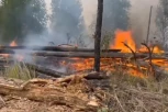 PRETI VELIKA OPASNOST?! Šumski požari oko NUKLEARNE ELEKTRANE prošireni na više od 2.600 hektara! Gori OGROMNA oblast! (VIDEO)