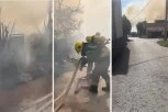 VELIKI POŽAR U OKOLINI ZEMUN POLJA, ČETIRI VATROGASNA VOZILA NA TERENU! Vlasnik pokušao da ugasi vatru - završio u bolnici! (VIDEO)