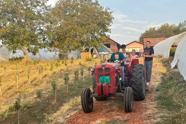 BIĆE AJVARA KOD MIROSLAVA: Pobedio sam SUŠU! Paprika je odlično rodila, a CENA JE OSTALA ISTA! Evo kako je to uspeo