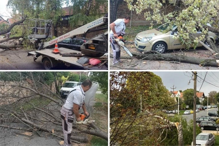 NEVREME PARALISALO DELOVE SRBIJE! Vetar nosi sve pred sobom, čupao drveća, stabla padala na vozila!  NAJGORE TEK PRED NAMA! (FOTO)