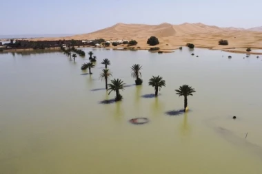 NEVEROVATNO! Posle pola veka poplave u Sahari! (FOTO)