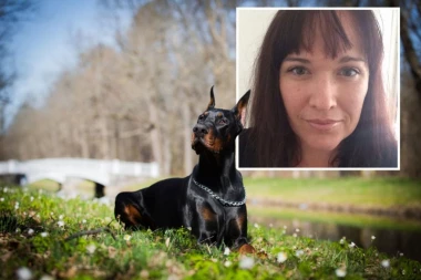 USVOJILI SU ZLOSTAVLJANOG DOBERMANA - 4 dana kasnije ostavili su ćerku sa njim i usledila je scena koja ledi krv u žilama! Pas je zgrabio dete za pelenu i tu nije bio kraj! (VIDEO)