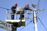 Investicije Elektrodistribucije Srbije u očuvanje životne sredine