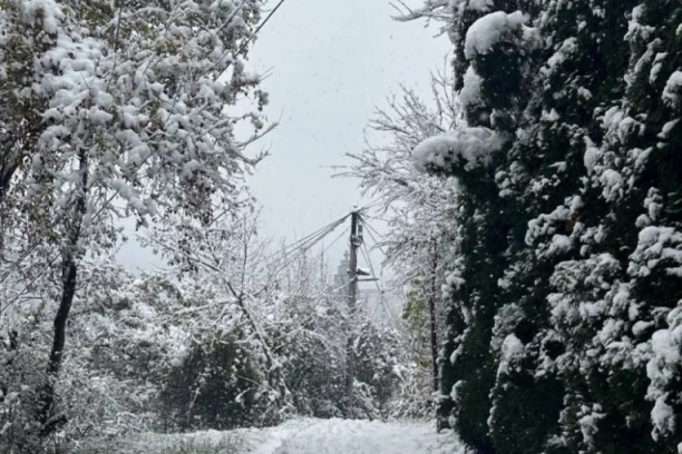 SNEG IZGLEDA NIJE IZNENADIO PUTARE! Radnici vredno čuste sneg u OVOM SRPSKOM GRADU!