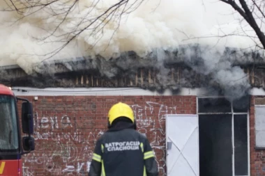 PEDESETORO DECE EVAKUISANO IZ BUKTINJE NA ADI! Potresne scene: Majke drže decu u naručju i teše ih, NAJMLAĐE IMA SAMO PET MESECI! (FOTO, VIDEO)