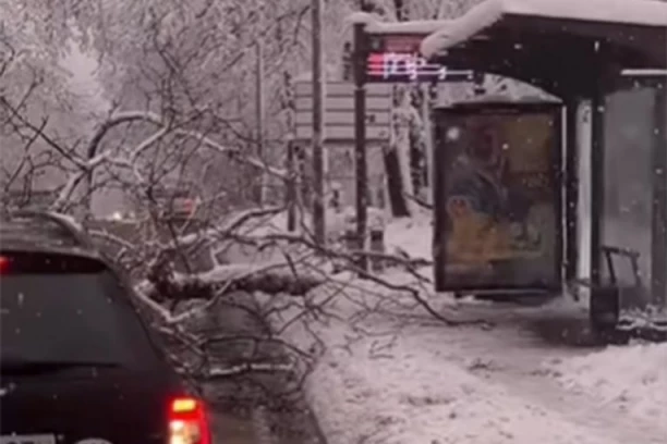 DRAMA NA SLAVIJI I U RAKOVICI! Grana pala nasred puta, STABLO NA TRAMVAJ, nevreme pravi haos u prestonici! (VIDEO)