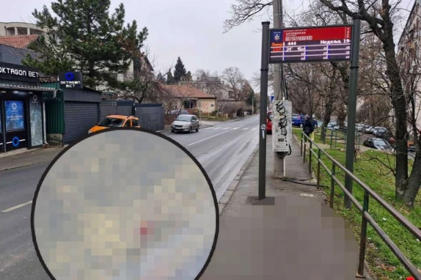 PSI CVILELI PORED POLICAJKE U LOKVI KRVI! Novi potresni detalji horora na Voždovcu: Krenula je kući da obuče uniformu, a onda je pokosio automobil! (FOTO, VIDEO)