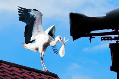 STIŽE JOŠ JEDNA PRINOVA U RIJALITI! Niko nije znao da je NOSEĆA, porađa se pred kamerama - sve je DOGOVORENO! (FOTO)