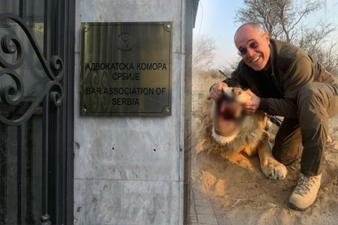 PA ZAR SE OVAKO ŠTRAJKUJE?! Dok su građani prepušteni sami sebi, predsednik Advokatske komore UBIJA LAVOVE po Africi! (FOTO)