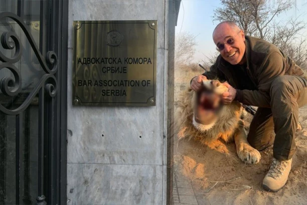 PA ZAR SE OVAKO ŠTRAJKUJE?! Dok su građani prepušteni sami sebi, predsednik Advokatske komore ubija lavove po Africi! (FOTO)