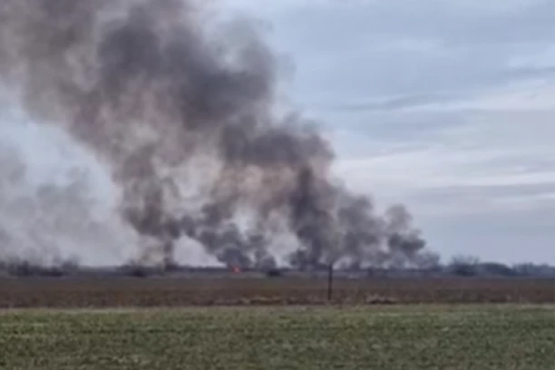 BESNI OGROMAN POŽAR BLIZU NOVOG SADA! Vatra zahvatila njive i širi se dalje! (VIDEO)