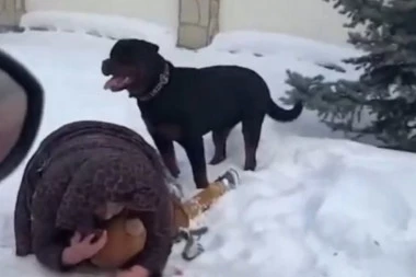 "LEŽIM KRVAVA PREKO DETETA, POMOZITE MI": Nataliju krvnički izujedao rotvajler na ulici dok je štitila sina (5), sada je otkriveno šta se desilo! (VIDEO)