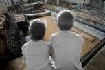BRAĆA SE UDAVILA U JAMI ODMAH PORED KUĆE! Deka sa suzama u očima otkriva: "Supruga mi je rekla 'DOĐI BRZO, DEČACI SU UMRLI'"