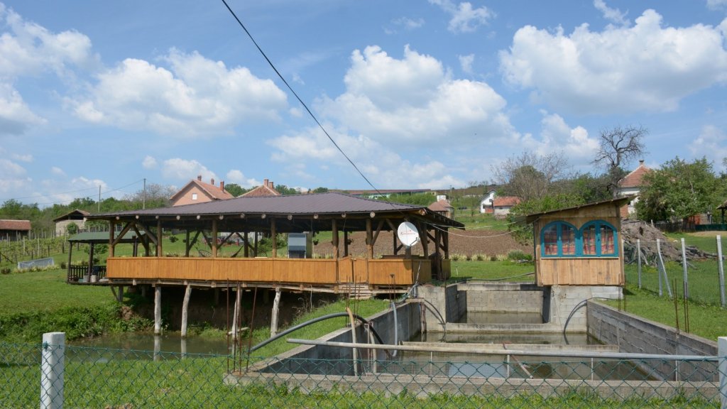 Republika