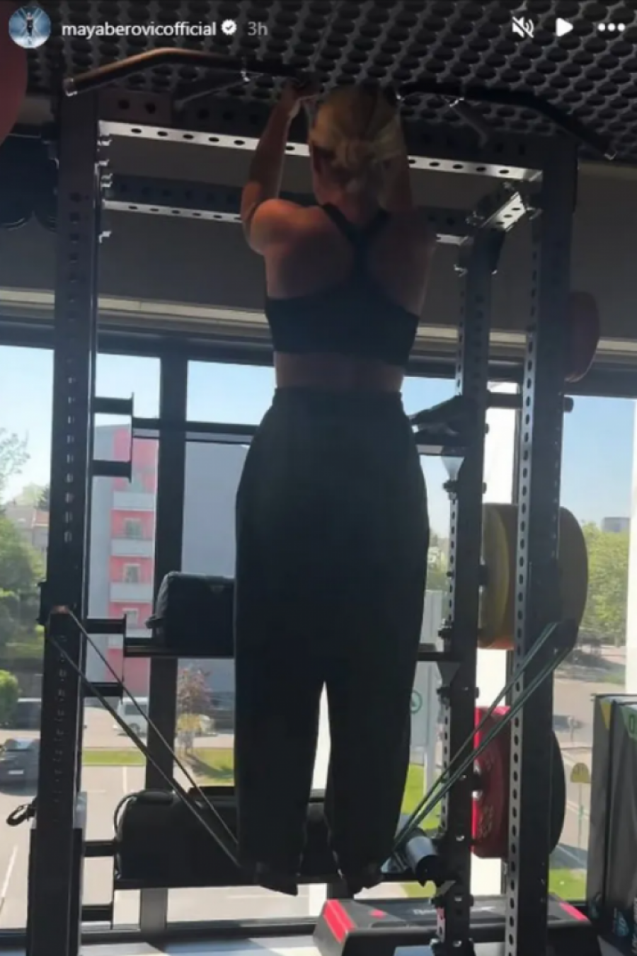 Maja Berović