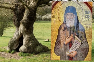 ČUDO PRIRODE I VERE: Unutrašnjost starog hrasta krije crkvu Svetog Pajsija koju posećuju vernici iz celog sveta (VIDEO)