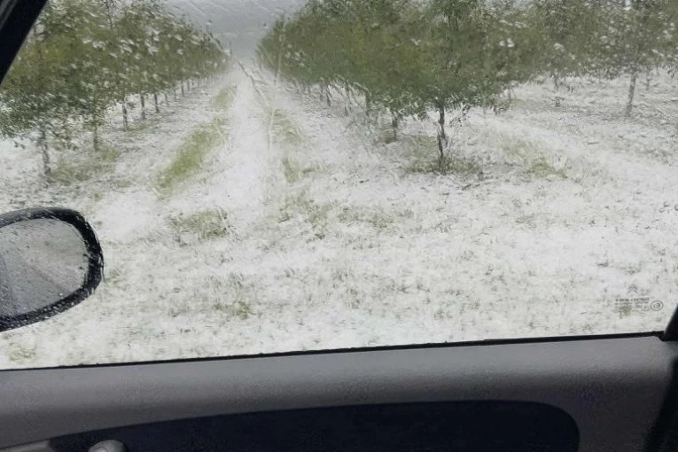 GDE JE PROŠAO GRAD NIŠTA NIJE OSTALO! Pšenica, višnja, povrće... kompletno uništeno: DELOVI ŠUMADIJE PRAVA JEZERA! (FOTO)