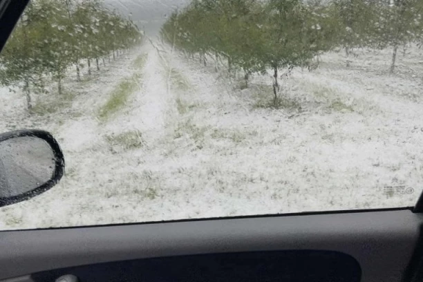 GDE JE PROŠAO GRAD NIŠTA NIJE OSTALO! Pšenica, višnja, povrće... kompletno uništeno: DELOVI ŠUMADIJE PRAVA JEZERA! (FOTO)