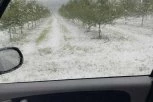GDE JE PROŠAO GRAD NIŠTA NIJE OSTALO! Pšenica, višnja, povrće... kompletno uništeno: DELOVI ŠUMADIJE PRAVA JEZERA! (FOTO)