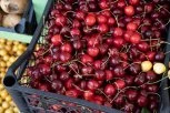 SKUPLJE OD JAGODA, SKUPLJE OD KILOGRAMA MESA! Paprena cena TREŠANJA na srpskim pijacama!