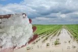 SNEŠKO BELIĆ USRED MAJA! U Velikoj Plani SNAŽNO NEVREME razorilo useve , ali jedna FOTOGRAFIJA obišla SRBIJA - ovo je pravo čudo!